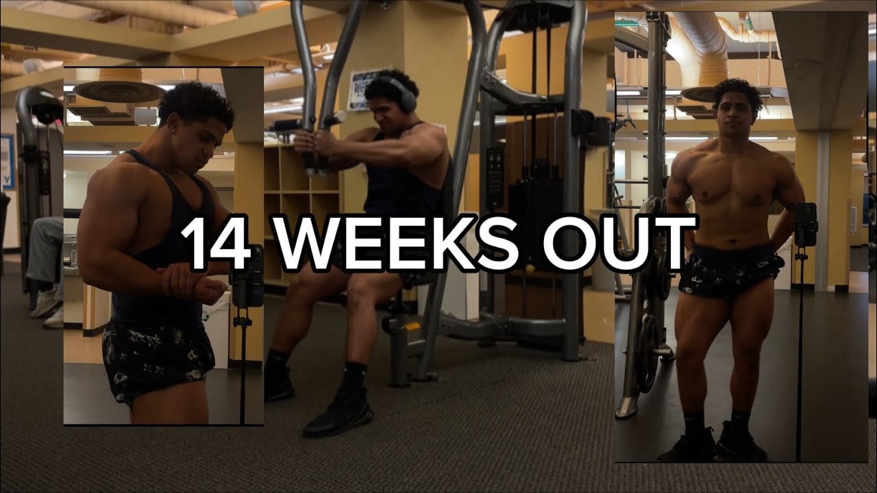 14 WEEKS OUT | ROAD TO SHOW