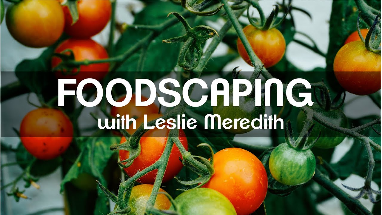 Virtual Foodscaping