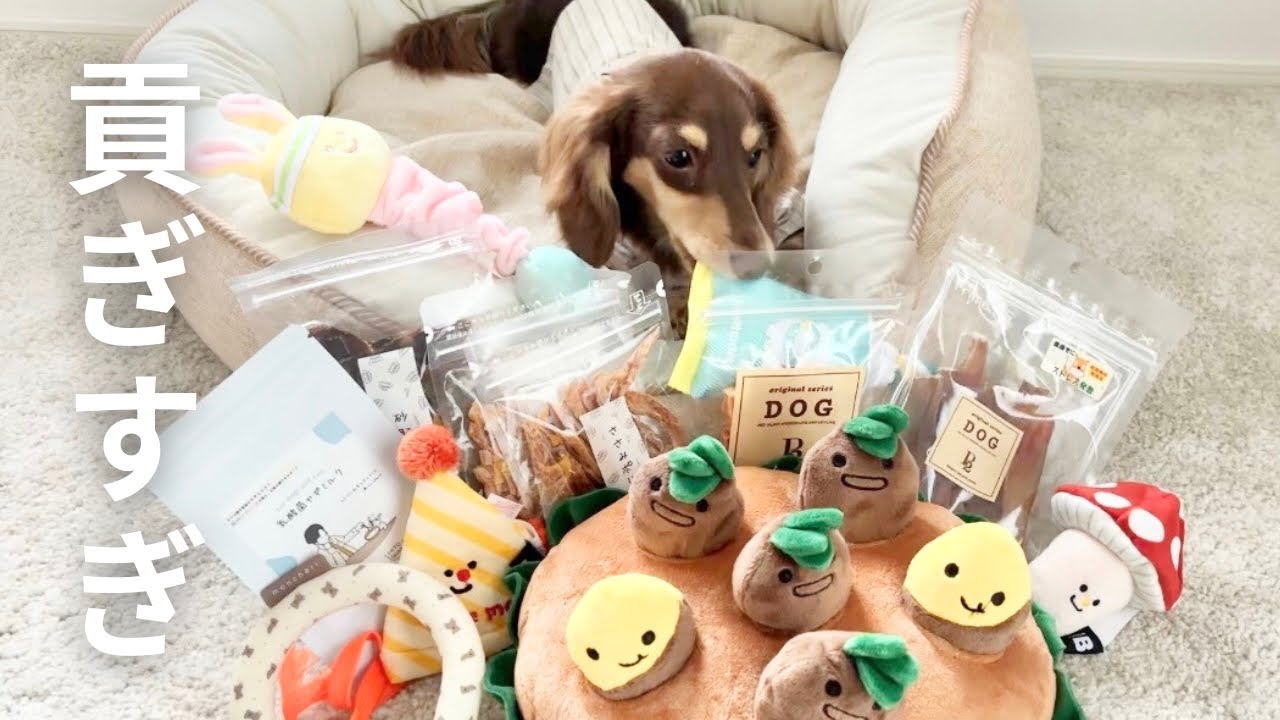 飼い主の給料はこうやって消えていく