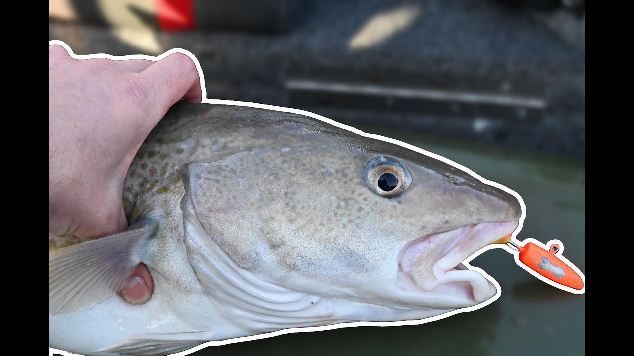 Havfiskeri fra Hirtsthals April 2022