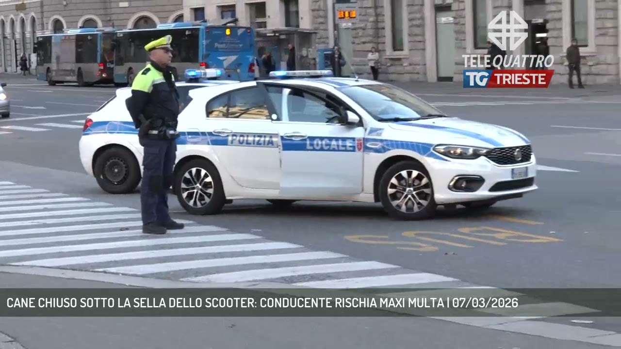 CANE CHIUSO SOTTO LA SELLA DELLO SCOOTER: CONDUCENTE RISCHIA MAXI MULTA | 07/03/2026