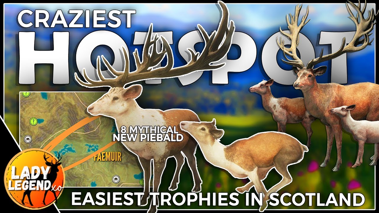 ONE CRAZY HOTSPOT -  5 MP Servers - SO MANY TROPHIES!!! 