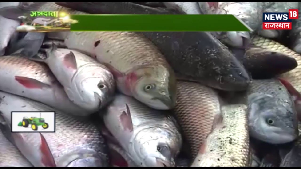 ANNADATA | Integrated Fish Farming
