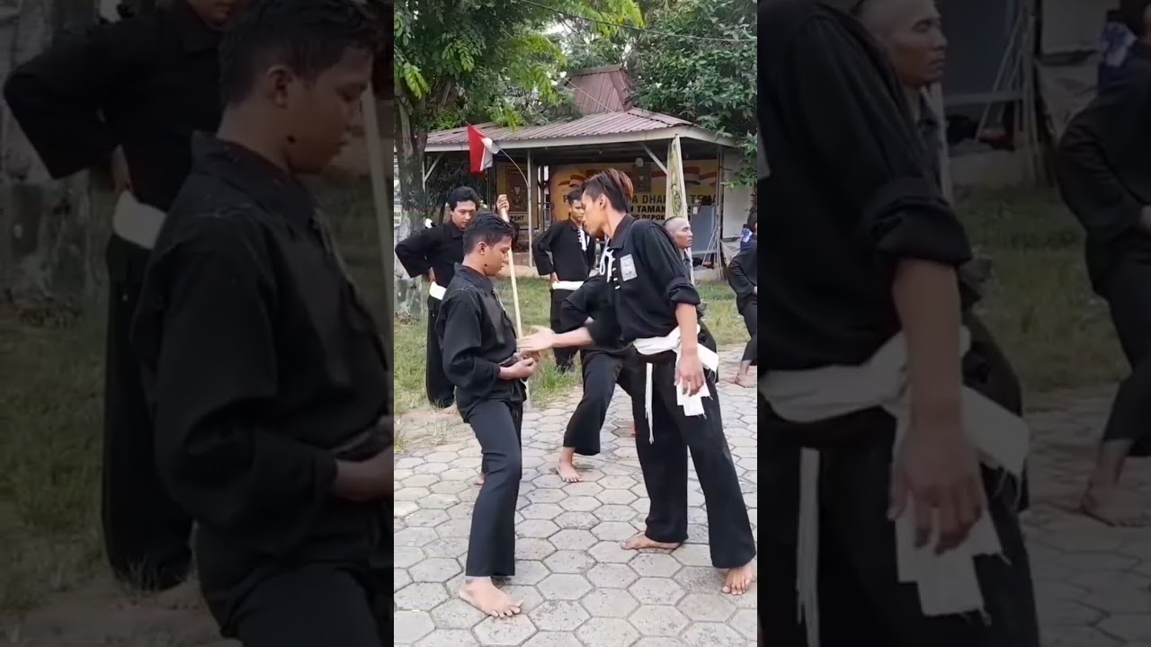 Kerasnya Latihan PSHT Sabuk Putih