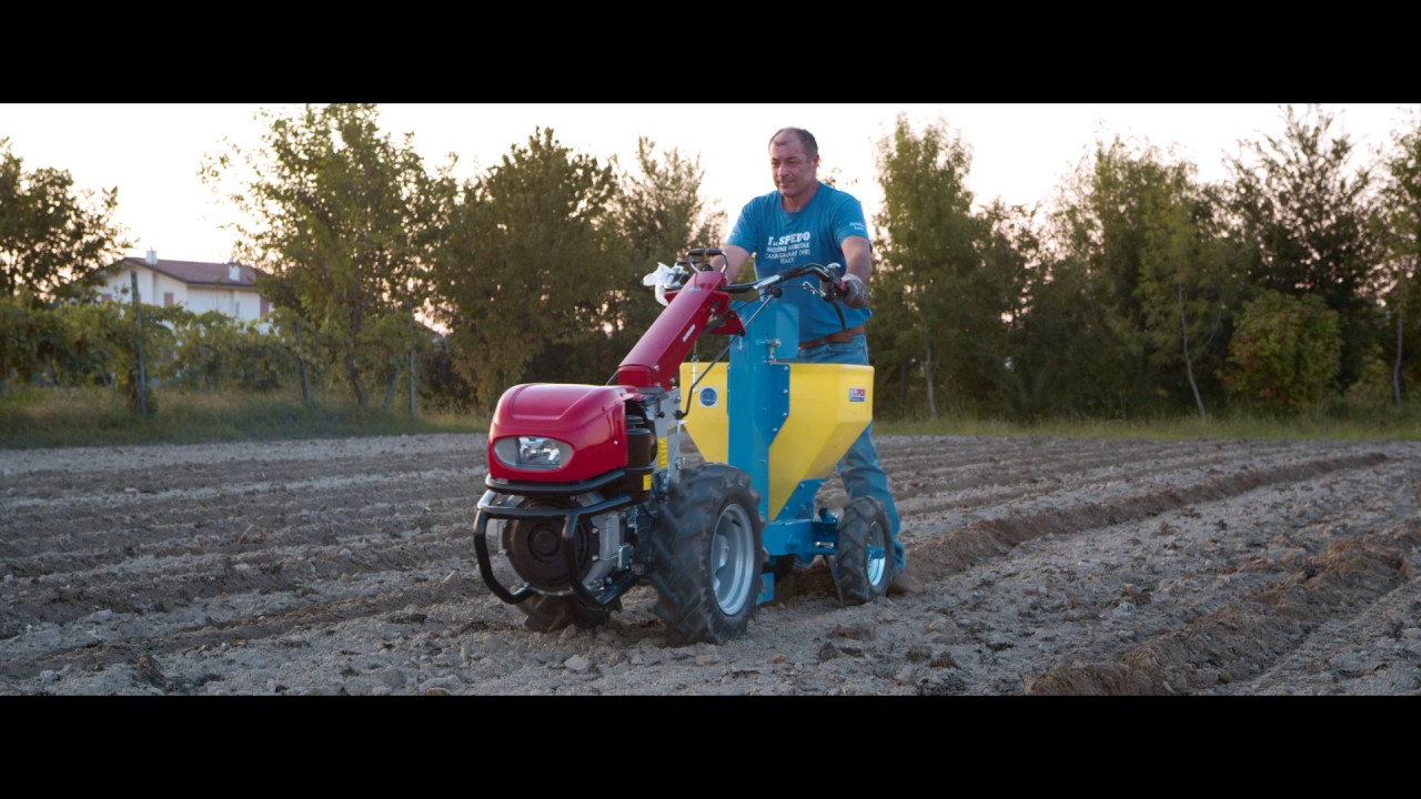 F.LLI SPEDO - SEMINAPATATE BABY