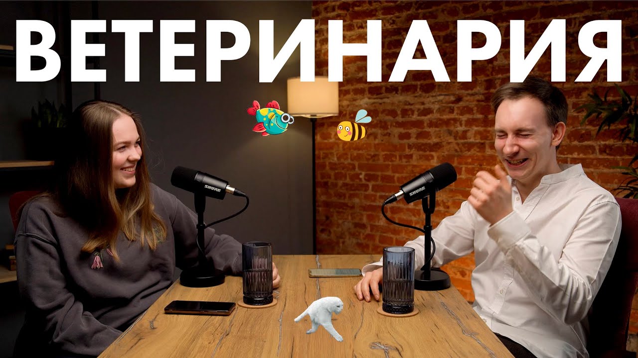 Ветеринария – куда поступить, как учиться