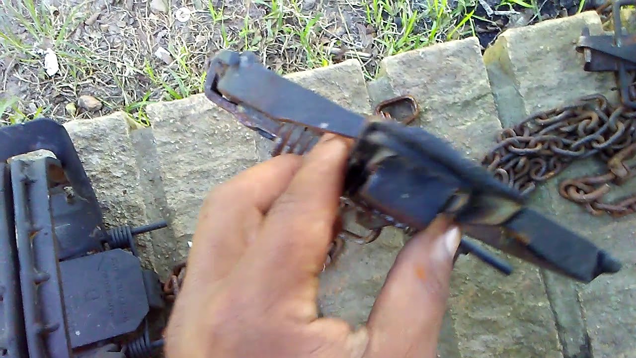 How To Offset Standard Jaw Traps
