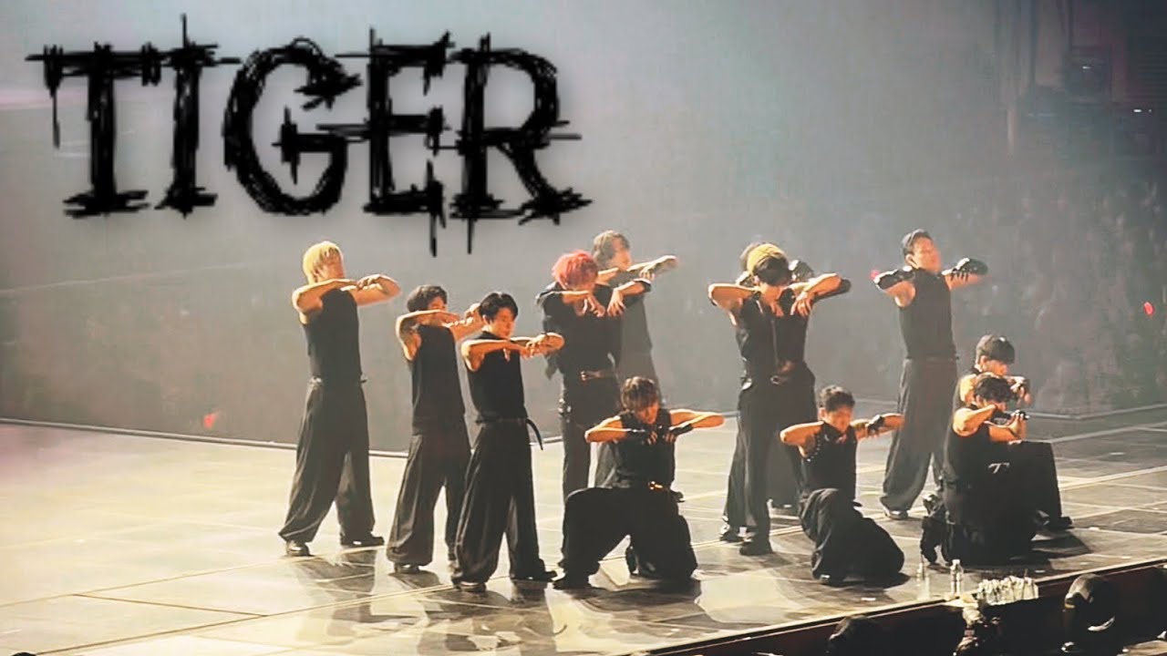 250808 현우주 타이거 첫 공개의 순간🔥