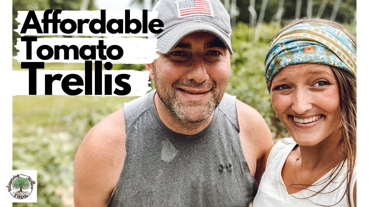Affordable Trellis System|Tip Of The Week|Whispering Willow Farm
