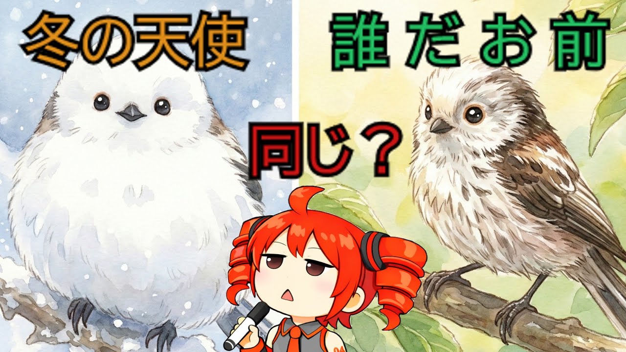「完全に詐欺だろ」シマエナガの夏と冬の格差に驚愕する人たち