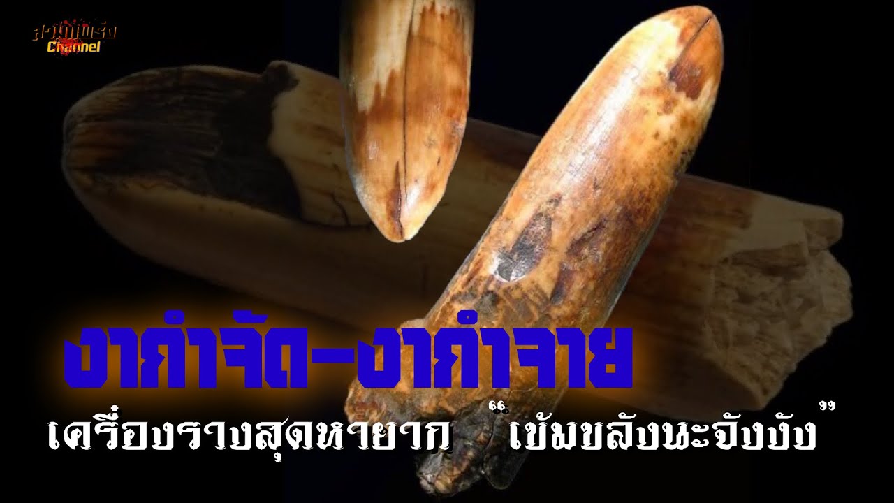 งากำจัด งากำจาย  เครื่องรางสุดหายาก เข้มชลังนะจังงัง