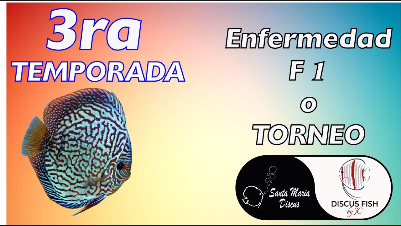 3ra Temporada Cap2 - ENFERMEDAD DE LOS DISCUS F1