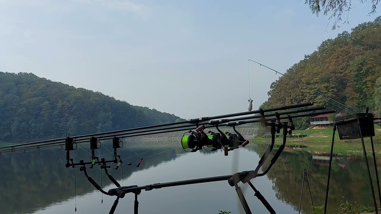 CARP RUN-Jezero Petnja (14.10.2022.) #Petnja #carpfishing  #fishing