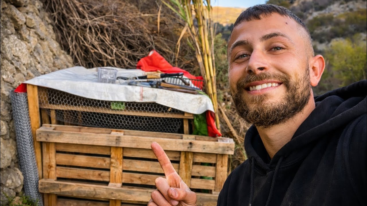 Construí mi gallinero desde cero en mi terreno