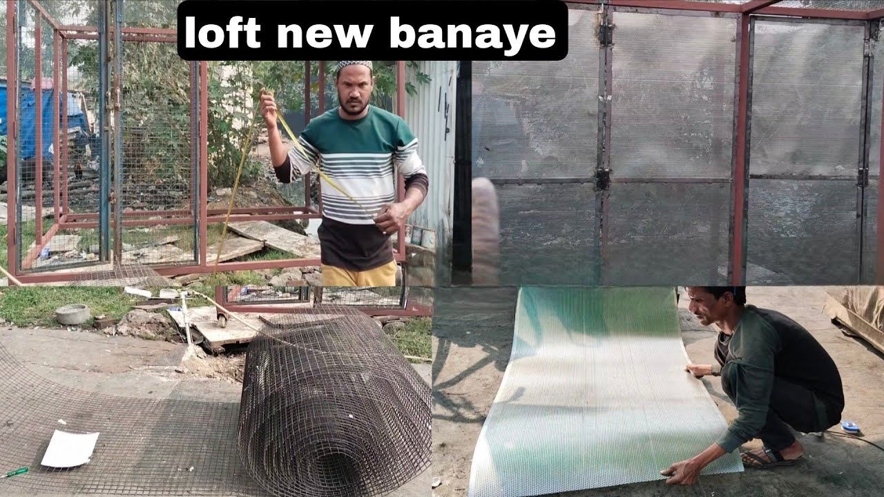 Pigeons Loft new banaye change karke Ajim bhai