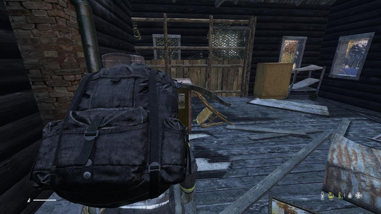 DayZ Le Glitch de l'ours