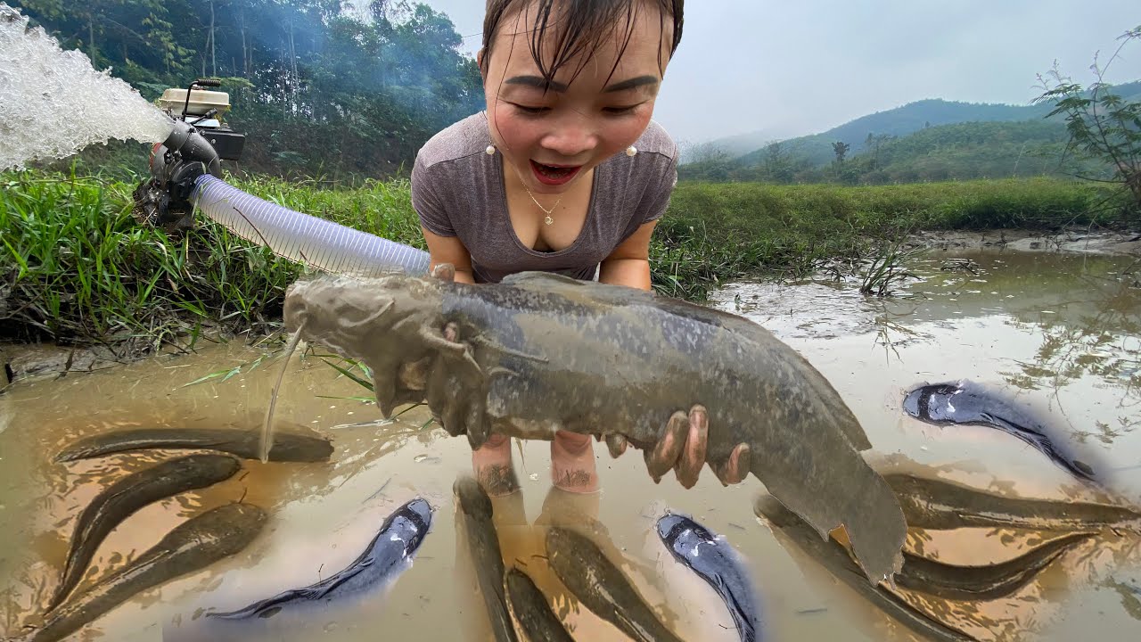 Sexy Girl Uses Large Capacity Pump To Catch Fish In A Longtime Lake Catch A Lot Of Big Fish