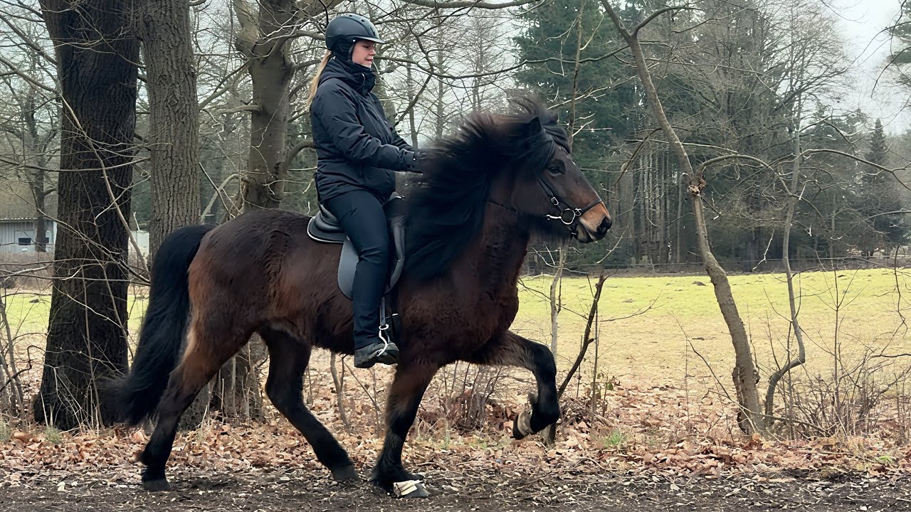 FOR SALE - Solvar – Jung. Fein. Und voller Möglichkeiten.
