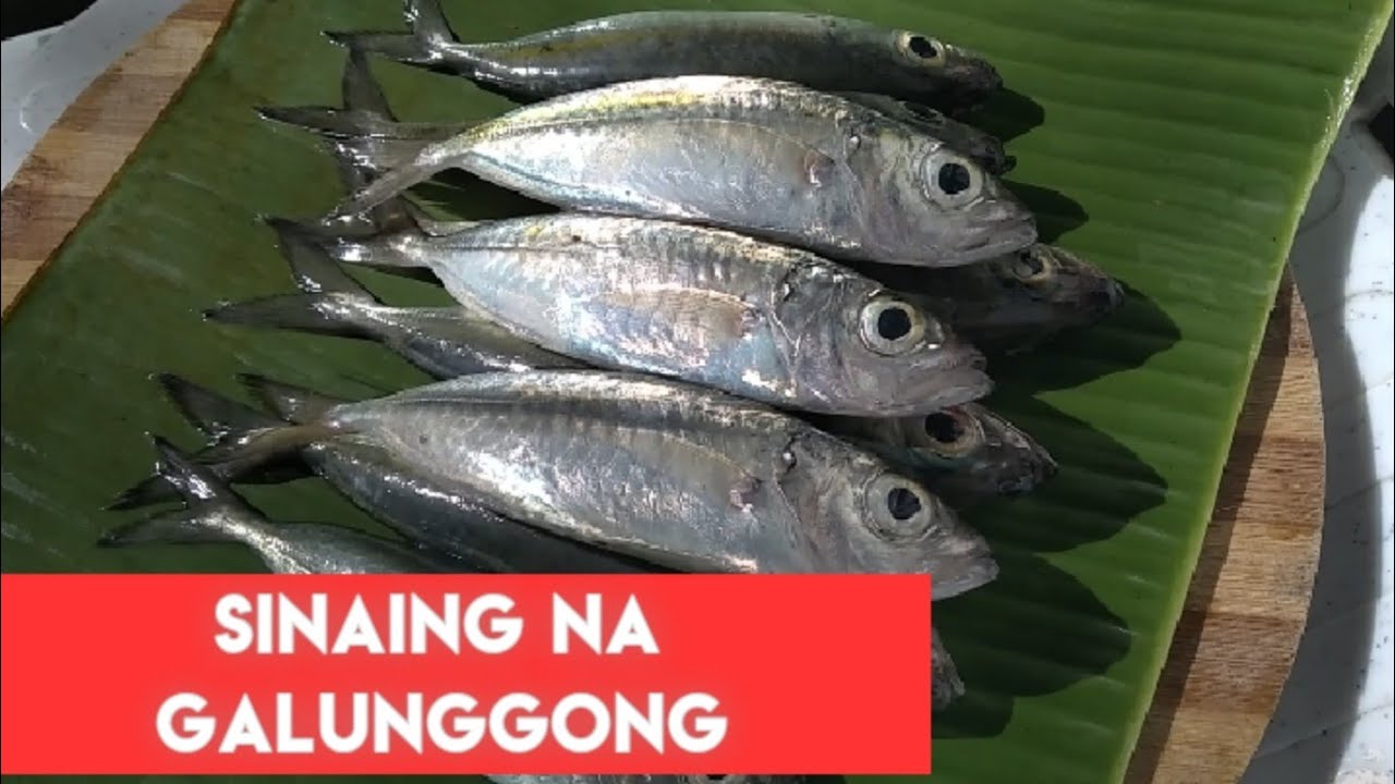 How to Cook Sinaing na Galunggong / Sinaing Recipe