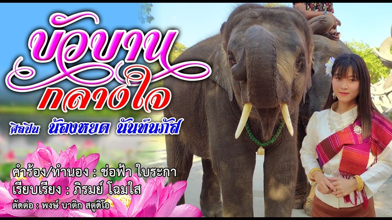 บัวบานกลางใจI นักร้อง : น้องหยด นันท์นภัส  I คำร้อง/ทำนอง: ช่อฟ้า ใบระกา เรียบเรียง: ภิรมย์  โฉมใส