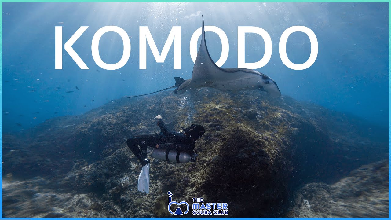 The Master Scuba Club EP.18 | ดำน้ำที่โคโมโด ล่าฝูงแบล็คแมนต้า | Komodo Diving x Manta