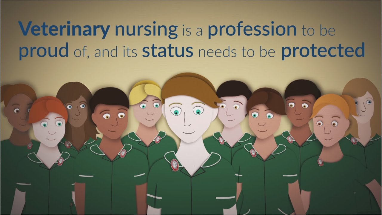 Veterinary nurses - true professionals