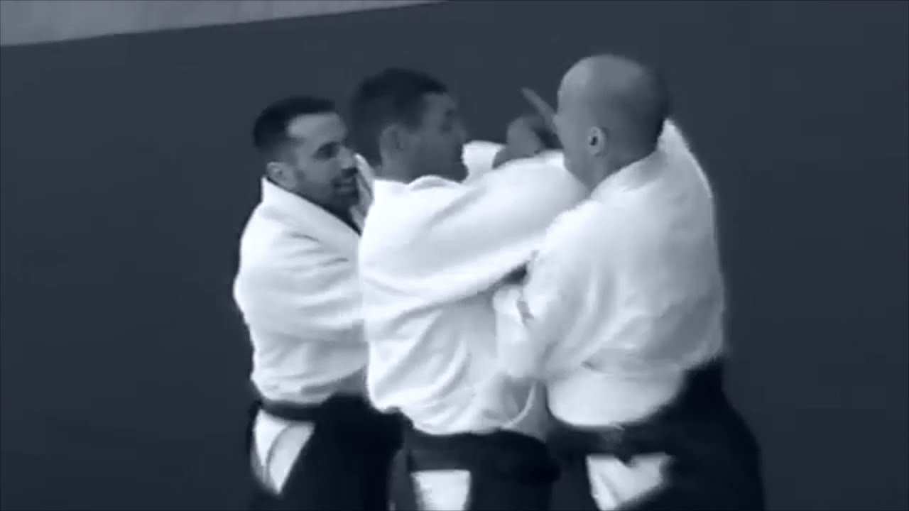 Xavier Fleury : Stage intensif d'Aikibudo &agrave; l'INSEP