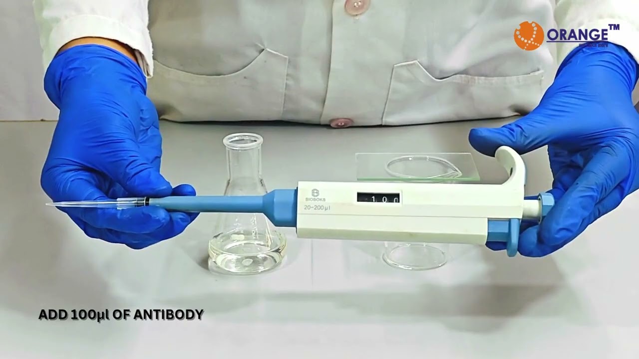 Single radial immunodiffusion (SRID) TEACHING KIT