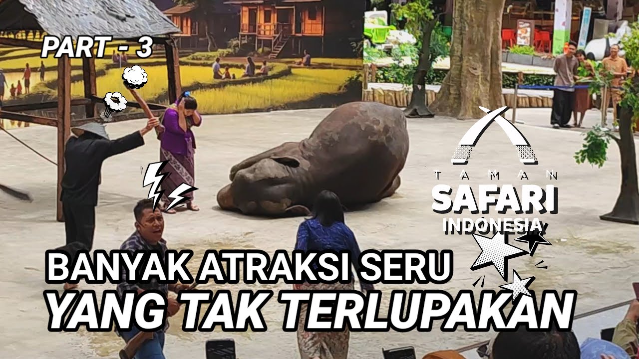 TIDAK MAU PULANG‼️ DI TAMAN SAFARI BOGOR MEMBERI PENGALAMAN YANG BERBEDA (Banyak Atraksi Seru)