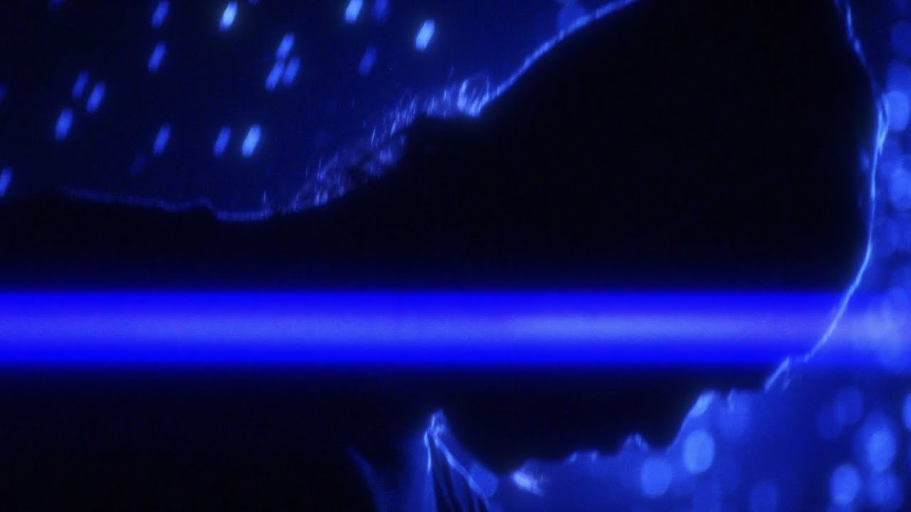 Sam02 - Bae [Dir. by Tycho Burwell]