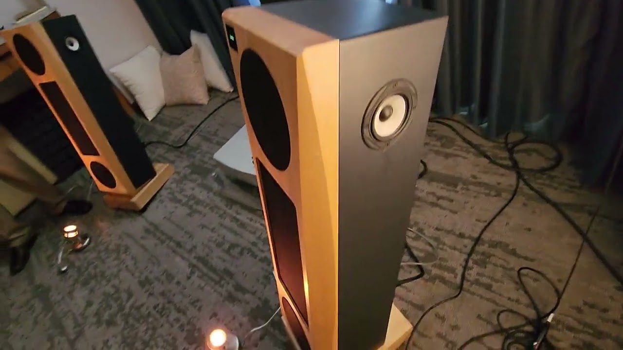 Unique Speaker - Switchable Omnidirectional - Janszen