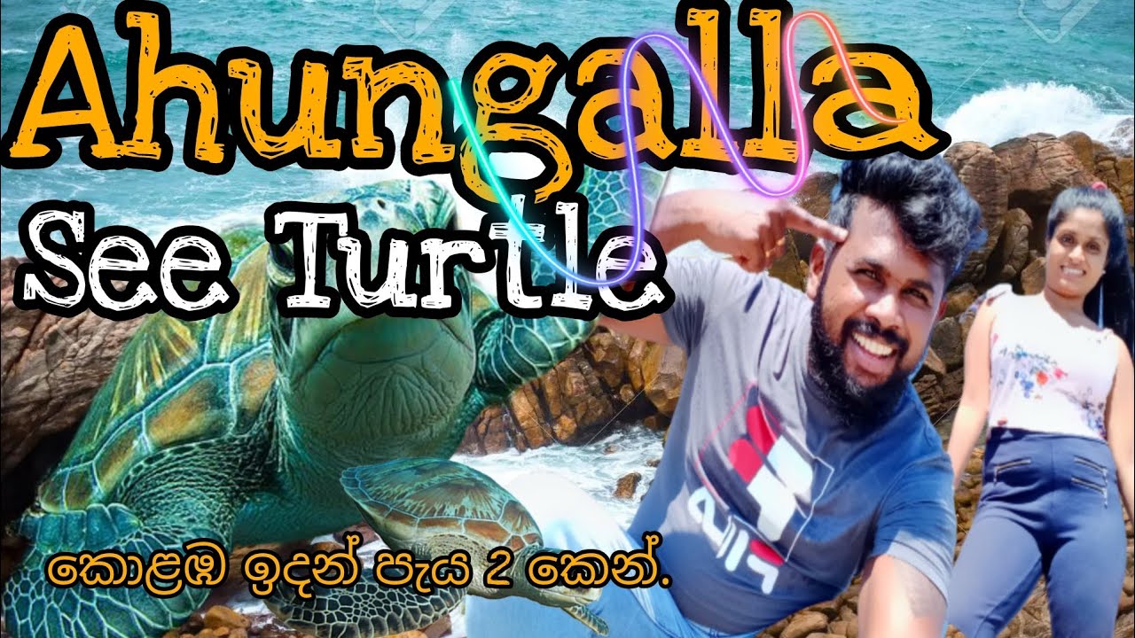 Ahungalla See Turtles Sri Lanka 🐢/ කැස්බෑ අඩව්ය / 🇱🇰 කොළඹ ඉදන් පැය 2න්.vlog 11