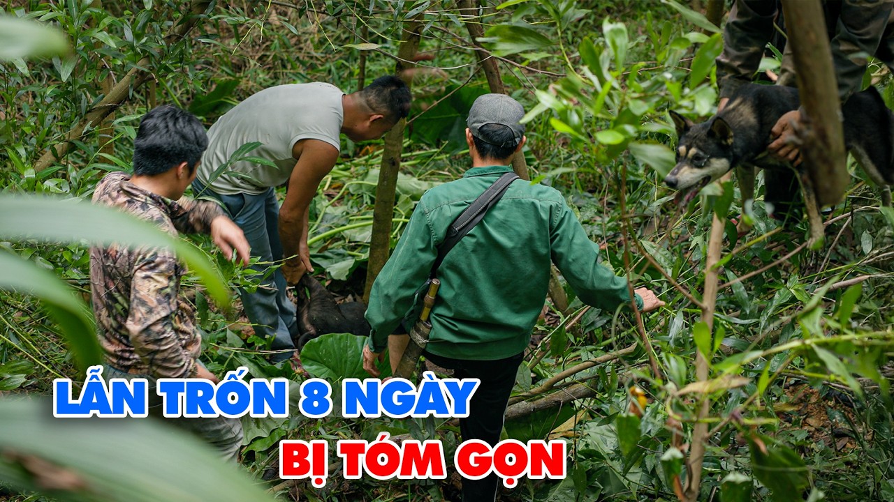 T&Oacute;M GỌN 