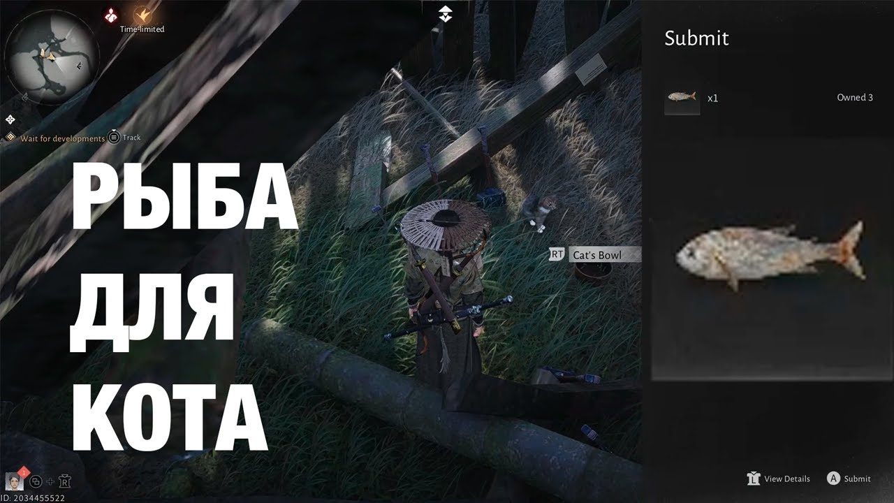 Где найти рыбу для кота в цветочном квесте в игре Where winds meet | Fish for cat