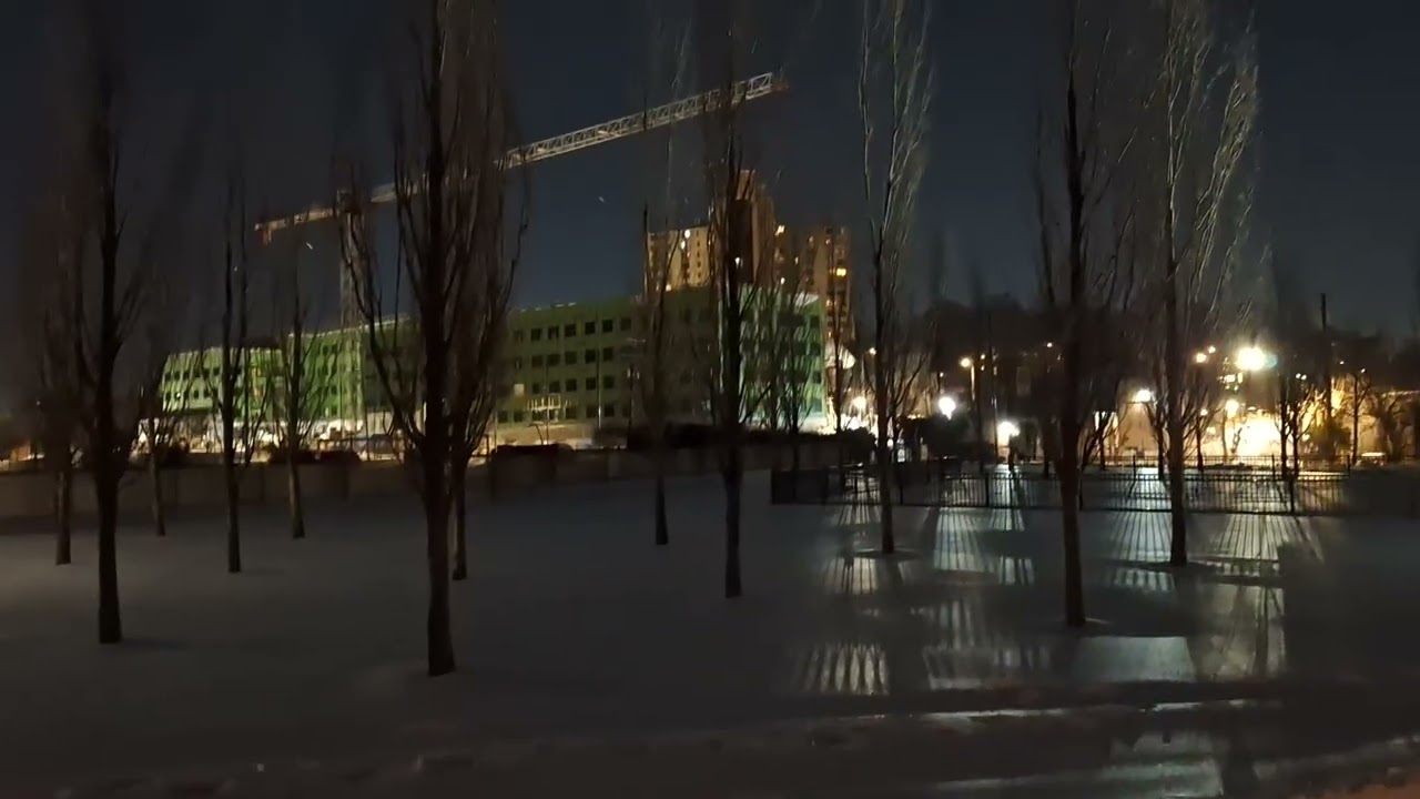 En la tormenta invernal en virginia del norte de moisés Guevara flores 