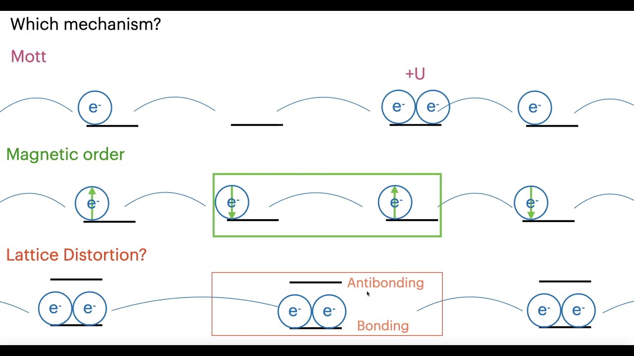 Intro To Correlated Electron Physics