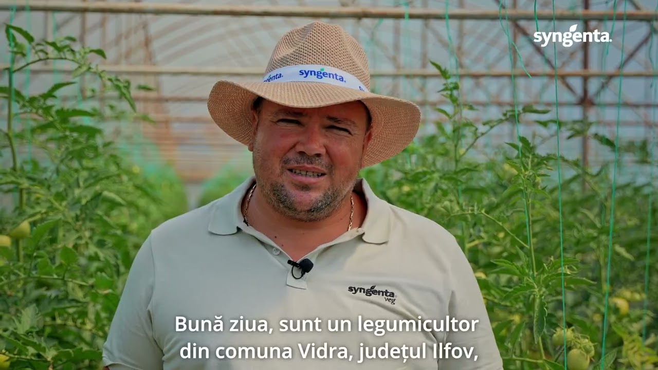 Testimonial David George, Vidra Ilfov - tomate Paronema F1 - Syngenta