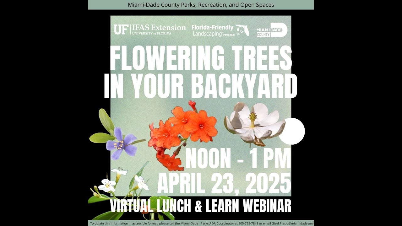 Best Flowering Trees In Your Backyard (South Florida)
