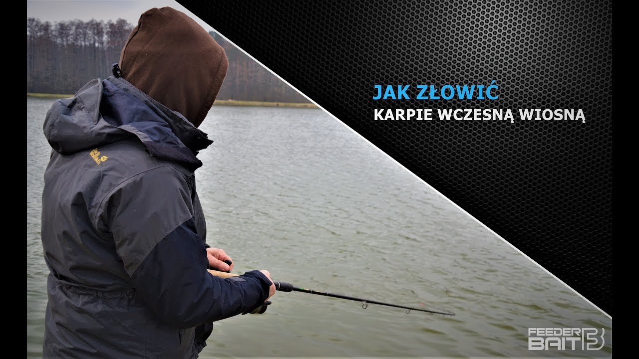 JAK ZŁOWIĆ KARPIE WCZESNĄ WIOSNĄ - Feeder Bait Ochotka Konopia
