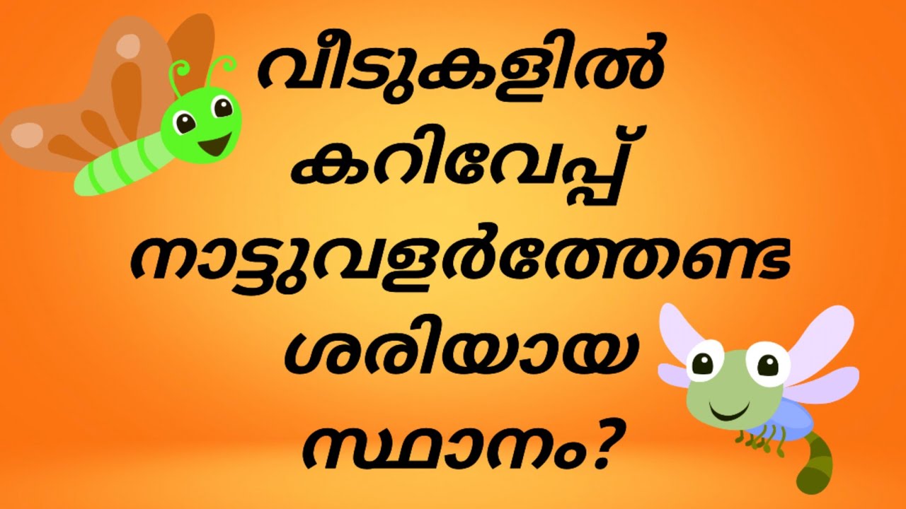 General Knowledge /Psc/പൊതുവിജ്ഞാന ചോദ്യങ്ങൾ