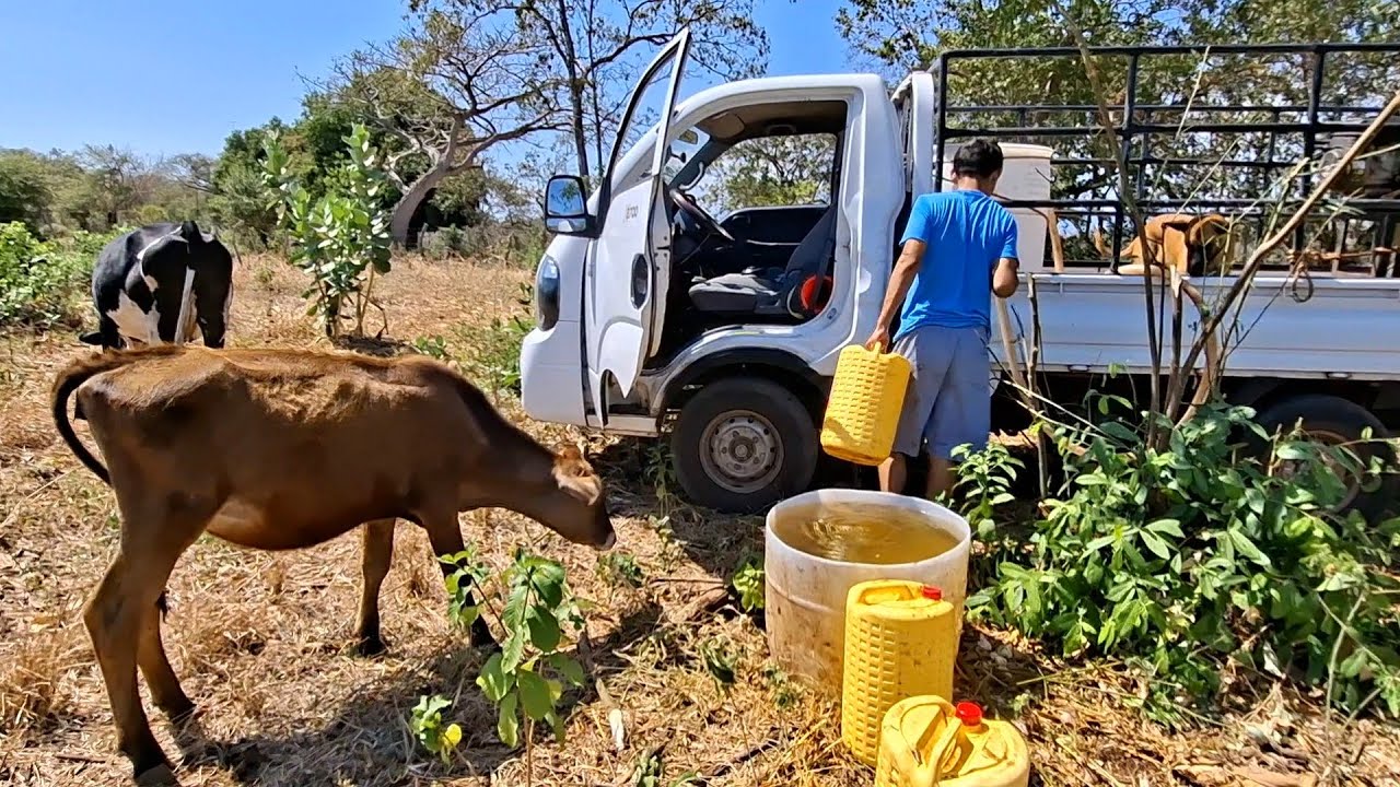 LLEGAMOS CON EL AGUA AL POTRERO