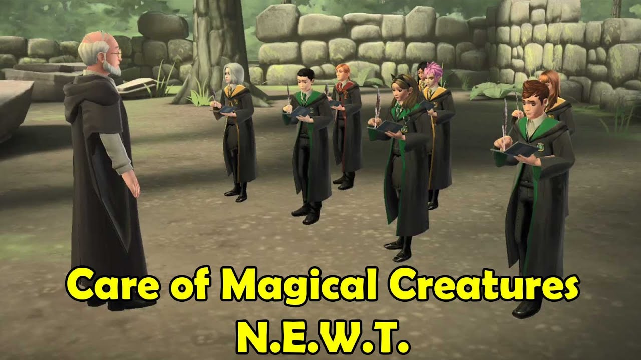 Care of Magical Creatures N.E.W.T. Harry Potter Hogwarts Mystery