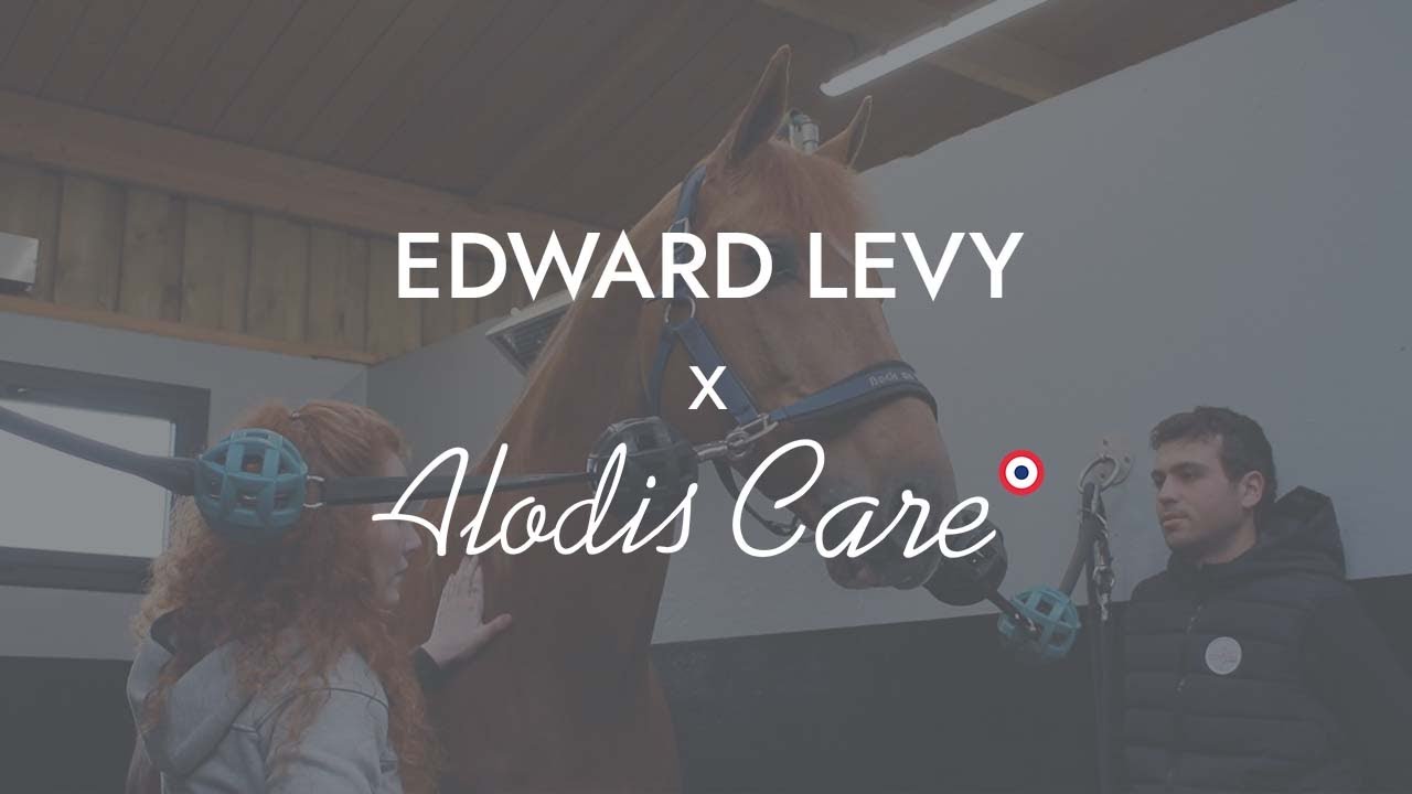 Alodis x Edward Levy : massage et bien-être des chevaux de sport