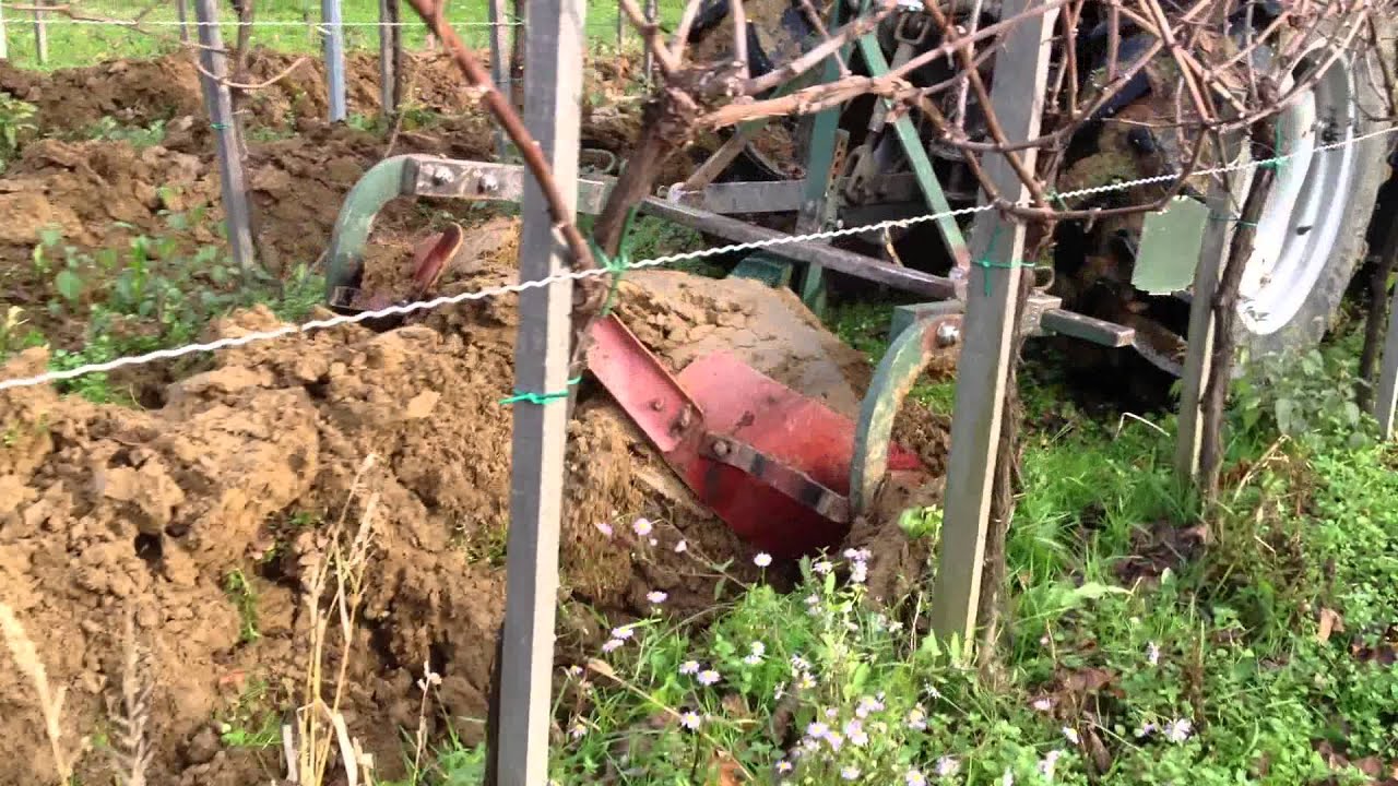 Oranje vinograda Same solaris 55