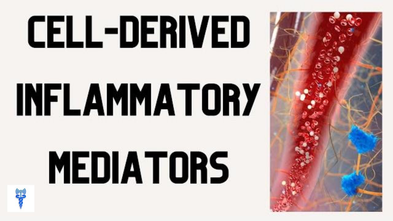 CELL-DERIVED INFLAMMATORY MEDIATORS | Functions & Roles in the Inflammatory Response