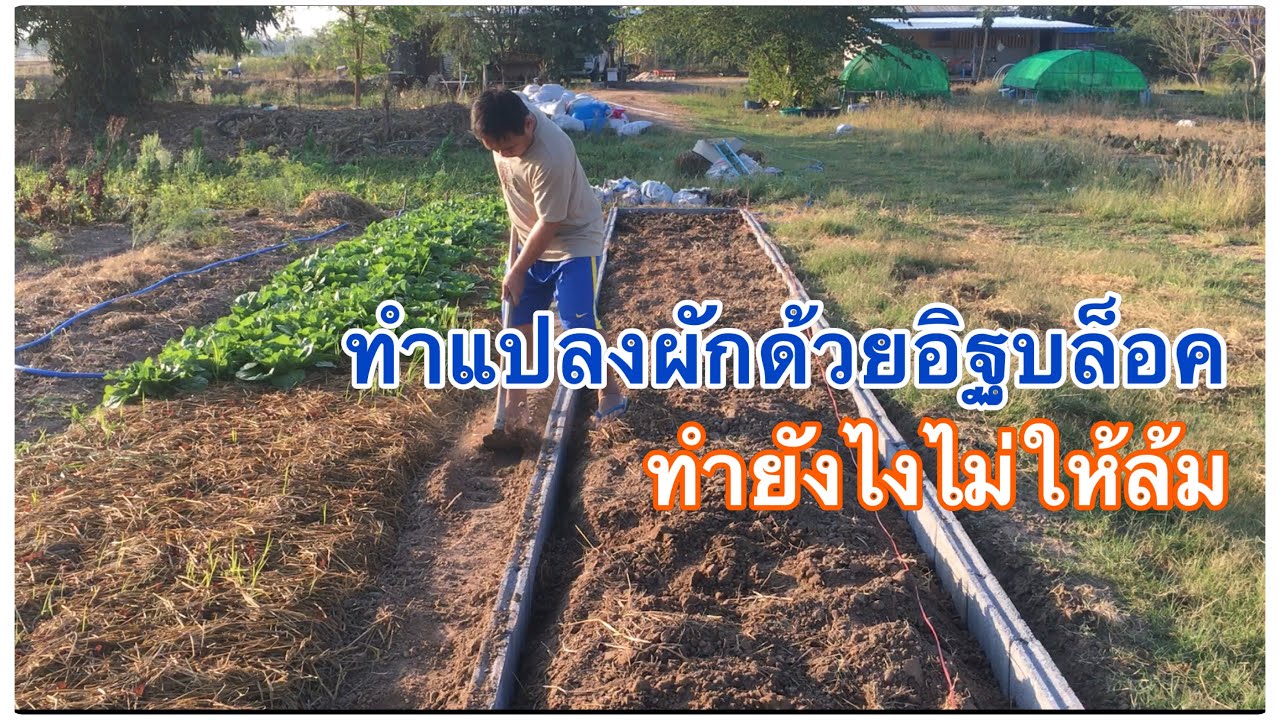 ทำแปลงผักด้วยอิฐบล็อค ทำยังไงไม่ให้ล้ม