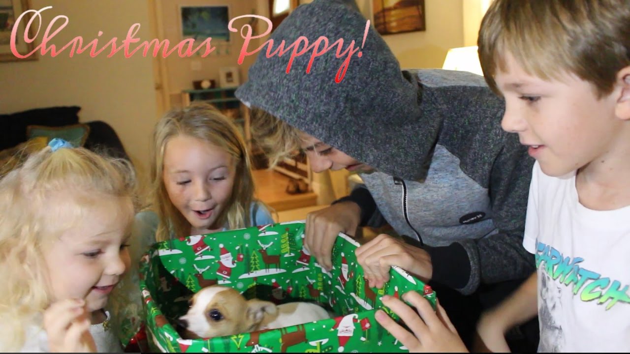 Christmas Puppy Surprise - Kids Unbox Our New Puppy - 