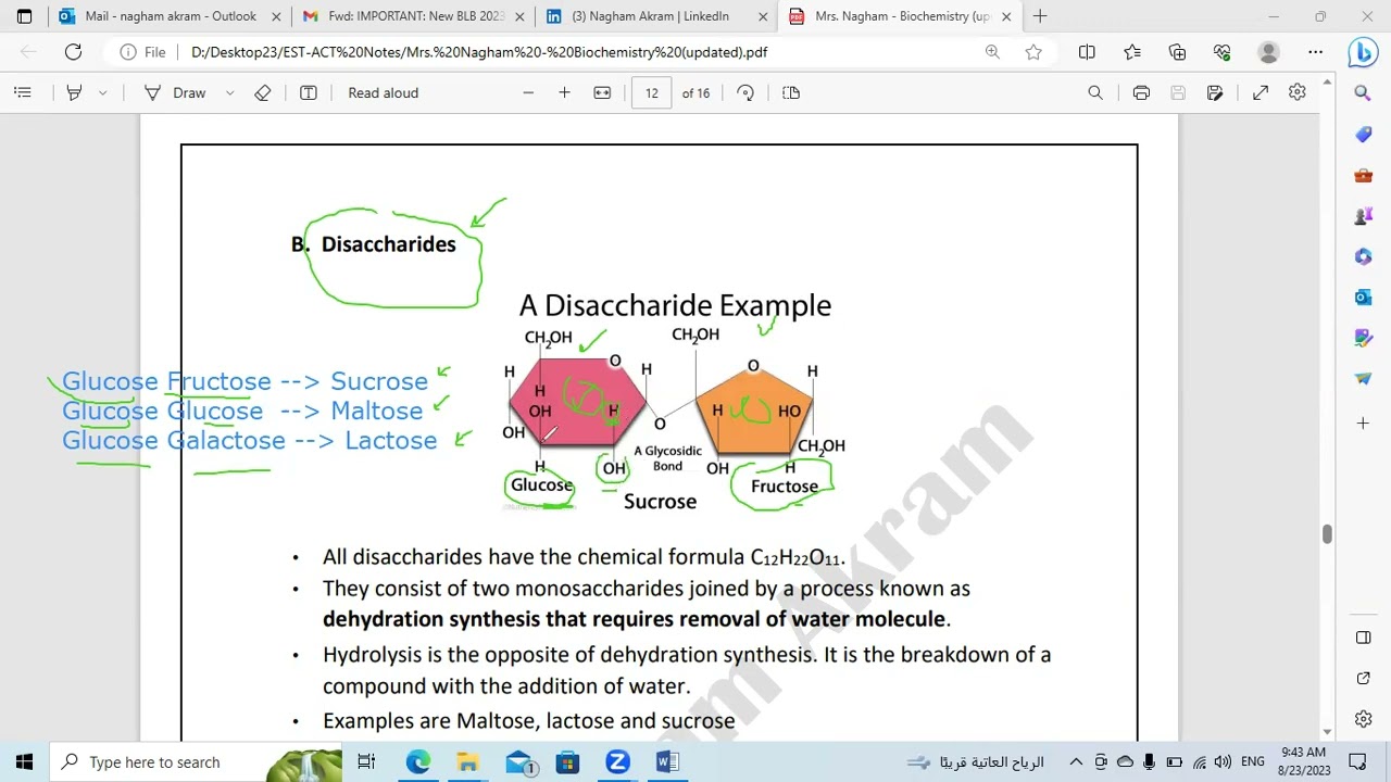 (EST - ACT - SAT) Biochemistry  P2