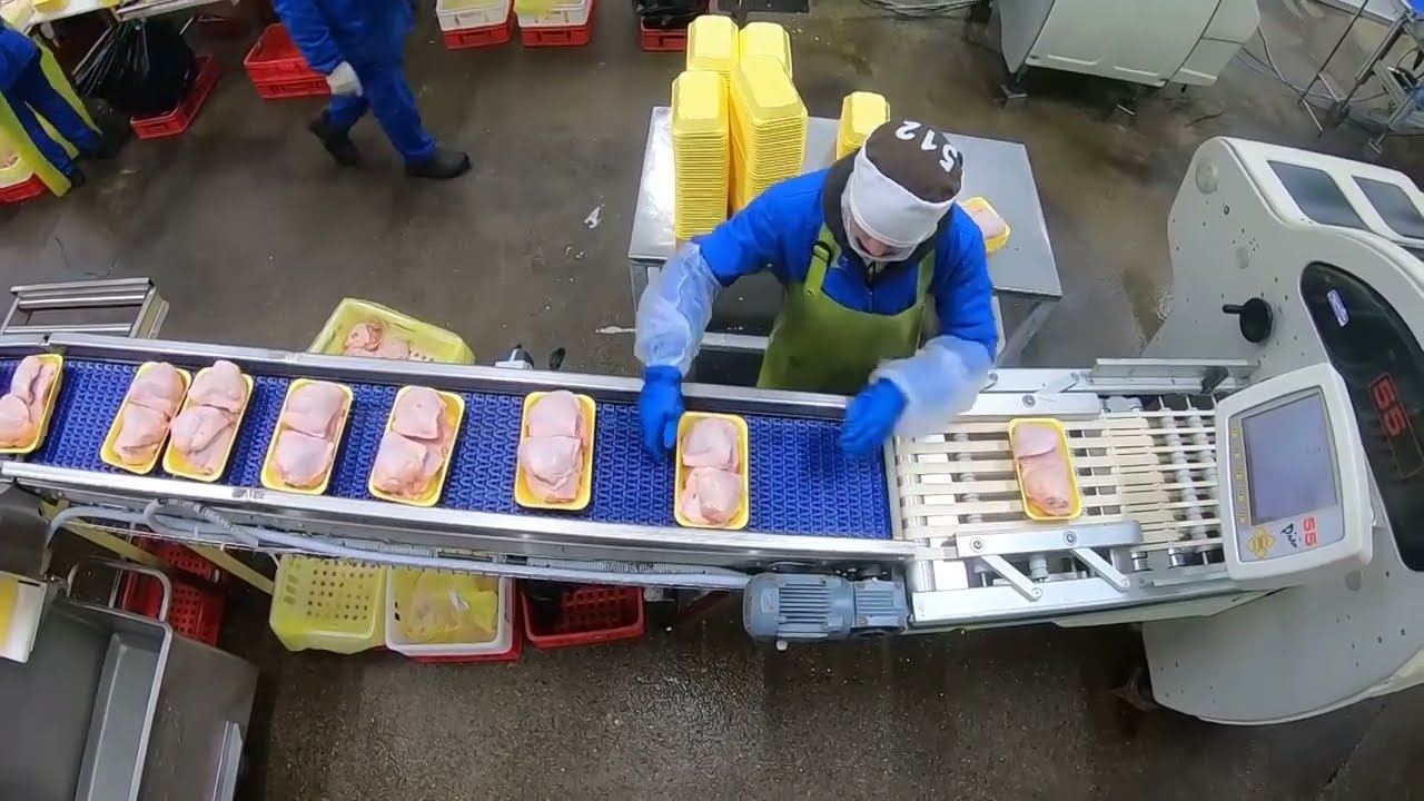 Переработка куриного мяса