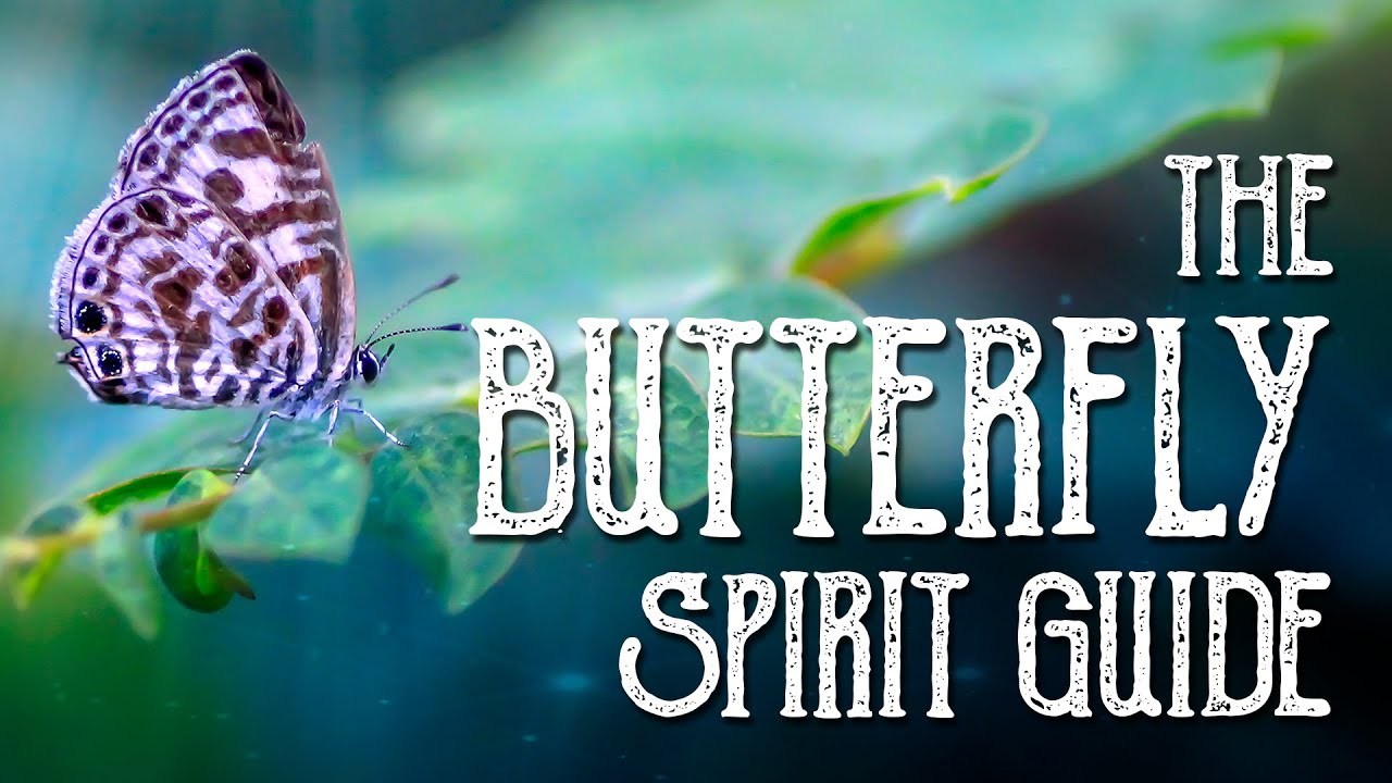 Butterfly Spirit Guide - Ask the Spirit Guides Oracle Totem Animal - Power Animal - Magical Crafting